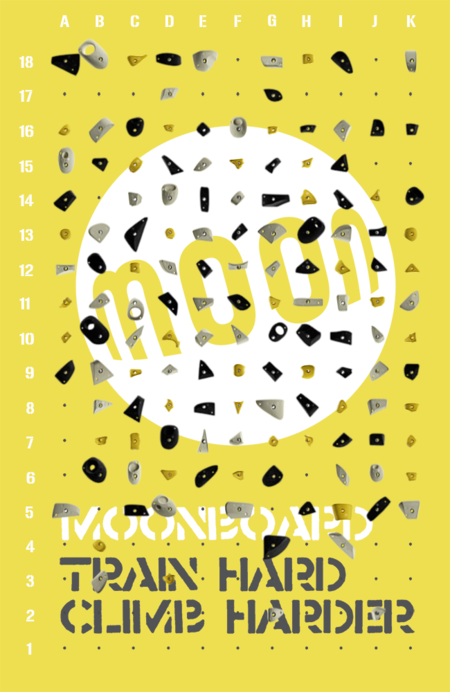 MoonBoard 2016 wall